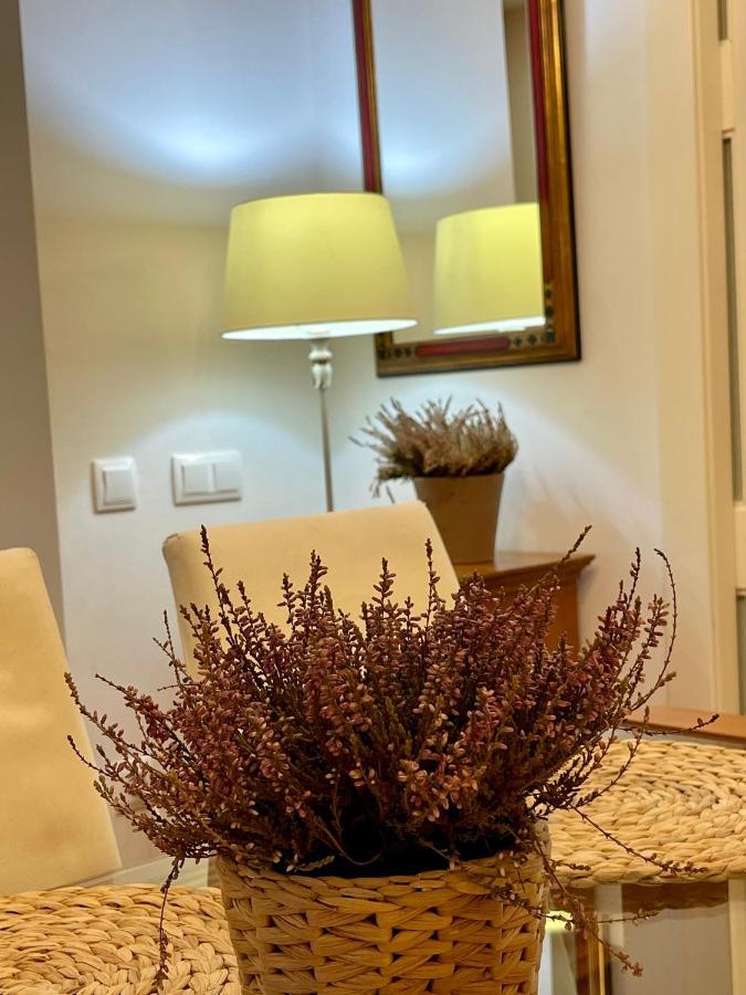 Atico Al Lado Del Ayuntamiento Appartement Oviedo Buitenkant foto